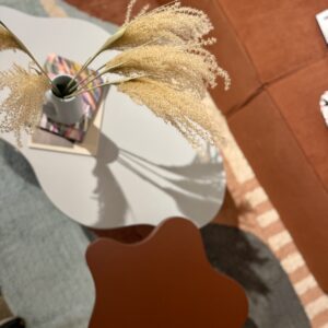 Kuivatatud siidpööris