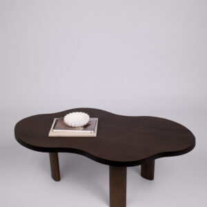 Orgaanilise kujuga kohvilaud Lago