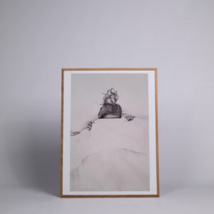 Raamitud repro Siim Hanikati maalist ''Hide''