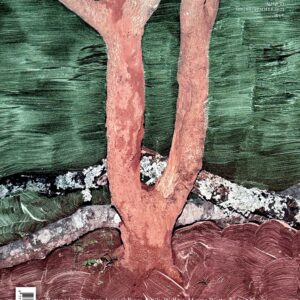 tp23-cover-viviane-sassen