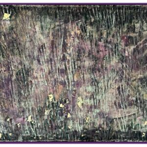 turkiisvioletne-unenagu